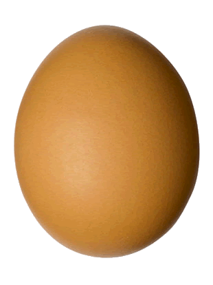 egg gif